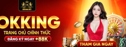 okkingvnet