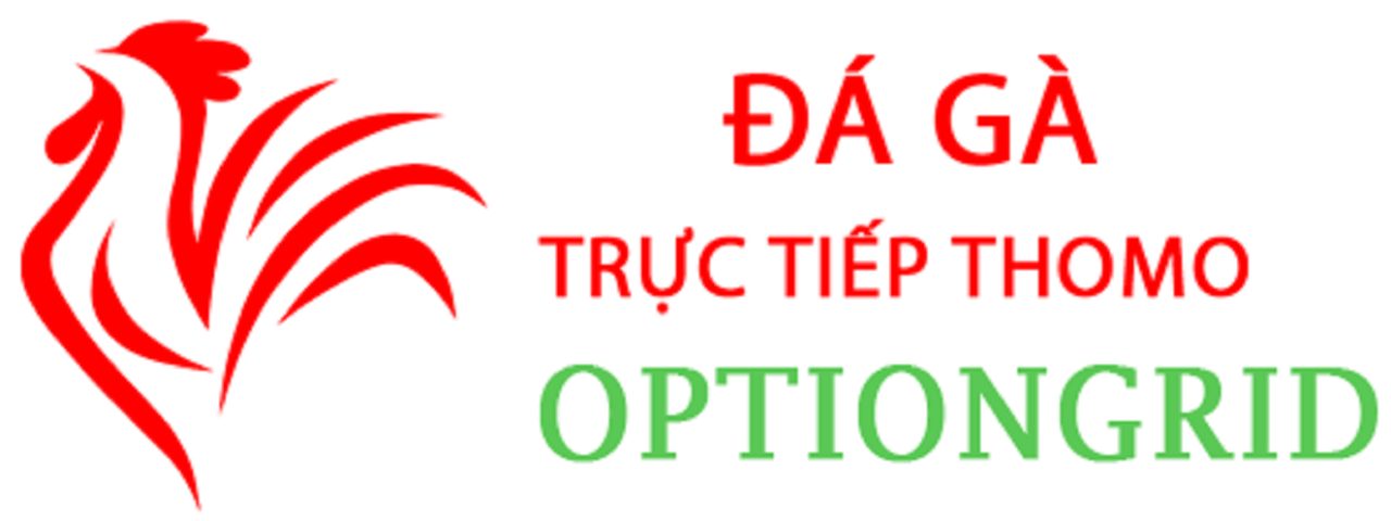 dagaoption