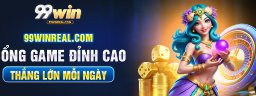 99winrealcom