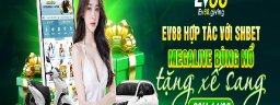 ev88giving