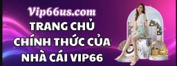 vip66us