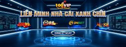 100vipdesign