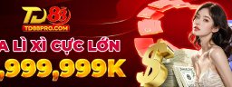 td88procom
