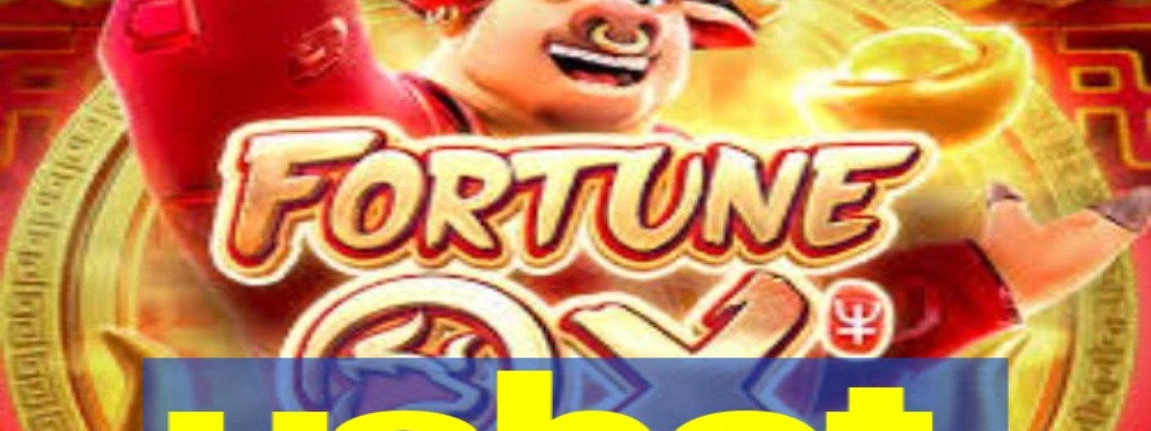 usbetnet
