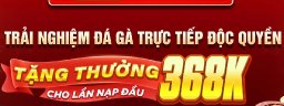 sv368mom