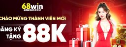 68winitcom