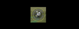 scoutseptic