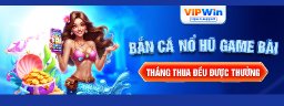 vipwinsupport