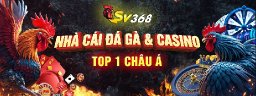 sv3689net