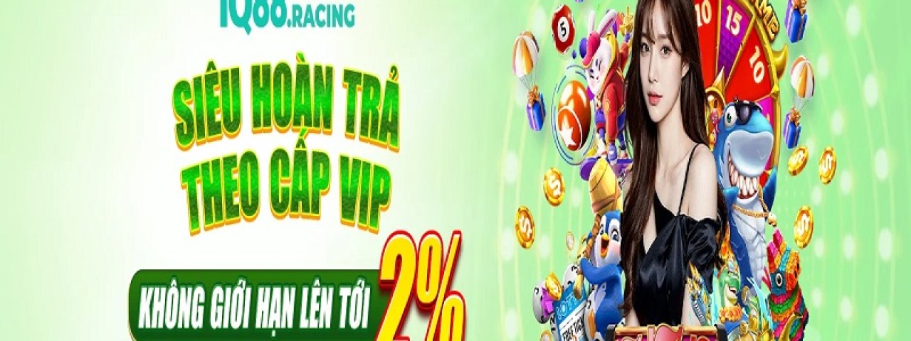 iq88racing
