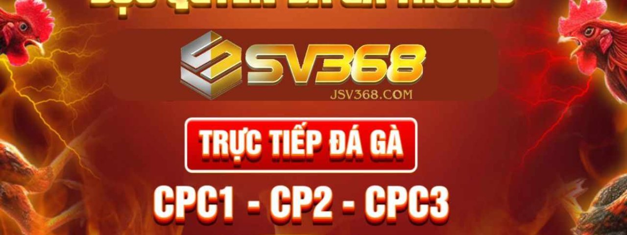 jsv368com