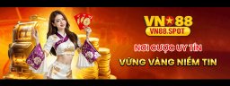 vn88spot