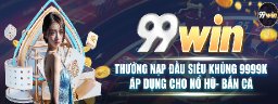 99winsstore