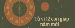 choicegyncom