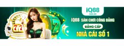 Iq88bid
