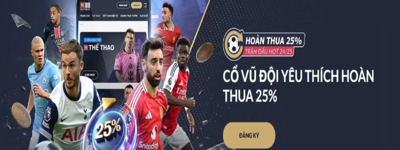 quanghuymi88