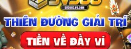 sv368cuscom