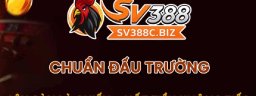 sv388cbiz