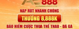 ae888netvc