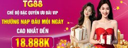 tg881net