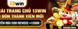 13wintips