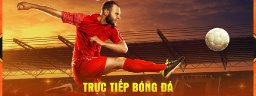 covid19red4