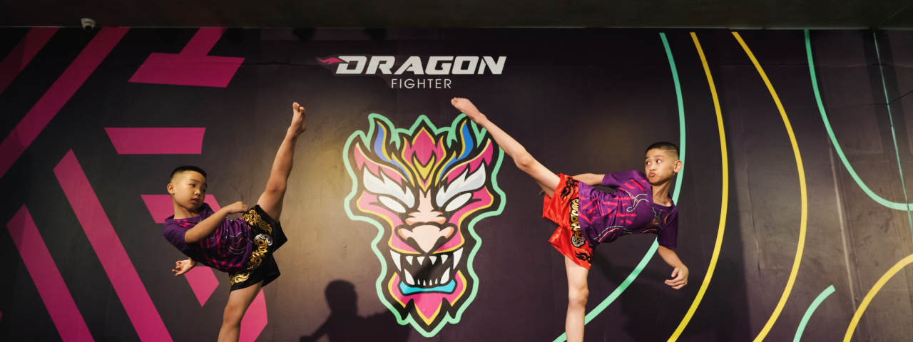 dragonfighter