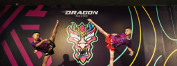 dragonfighter