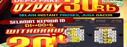11bolapro
