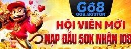 go8boston