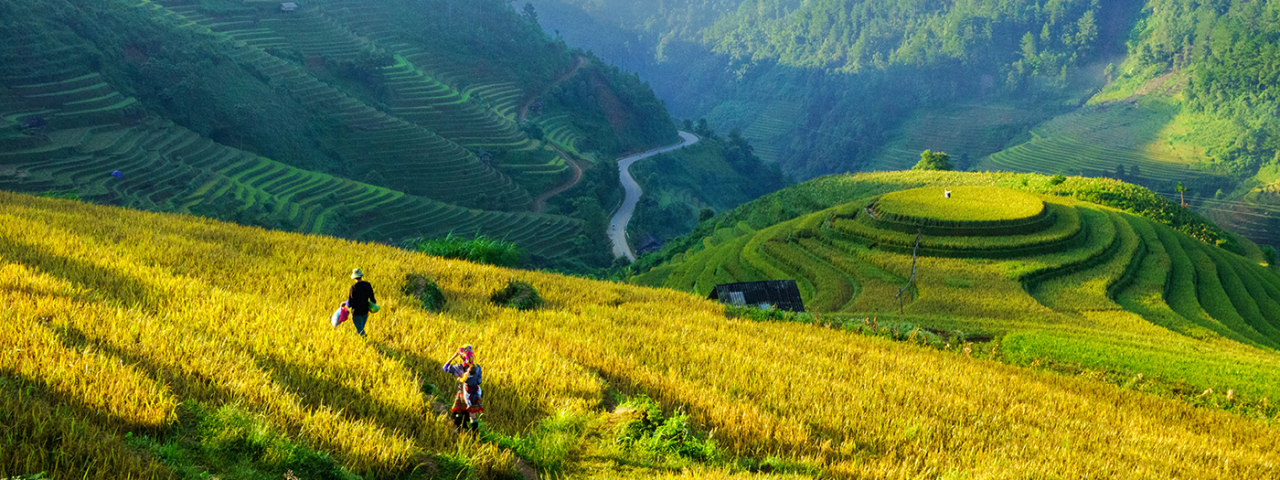 indochinatour