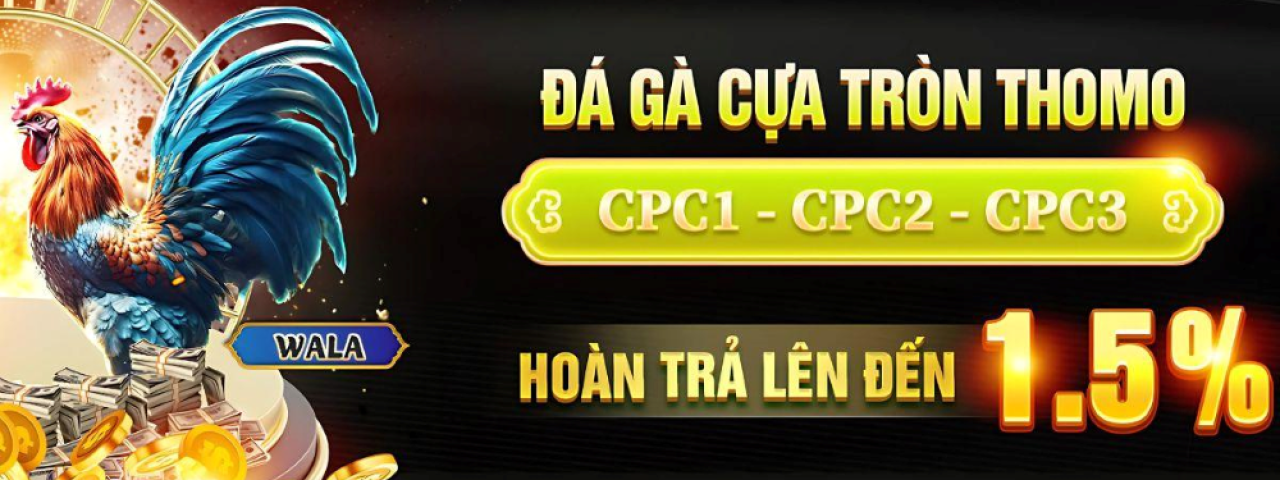 nhacaimt68