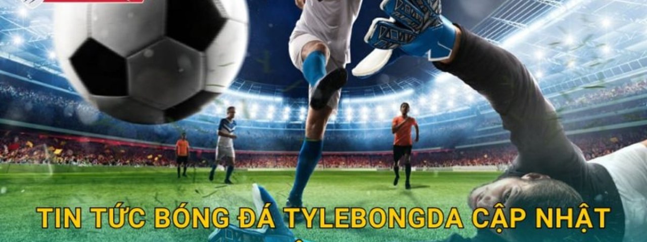 tylebongdacocom