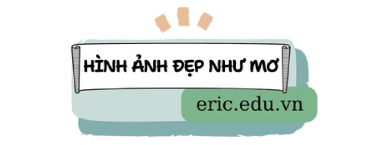ericeduvn1