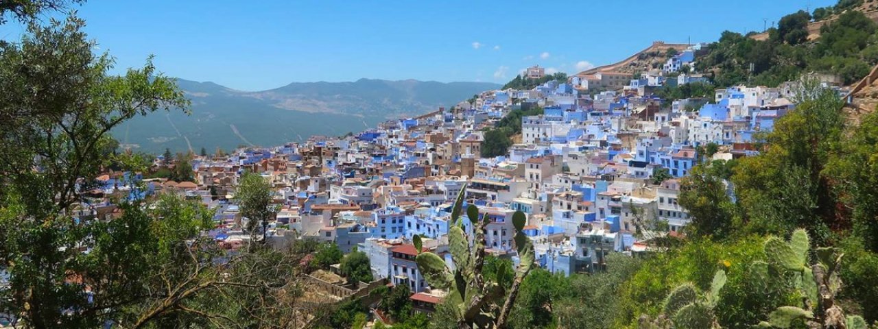 sandradanich1234567890