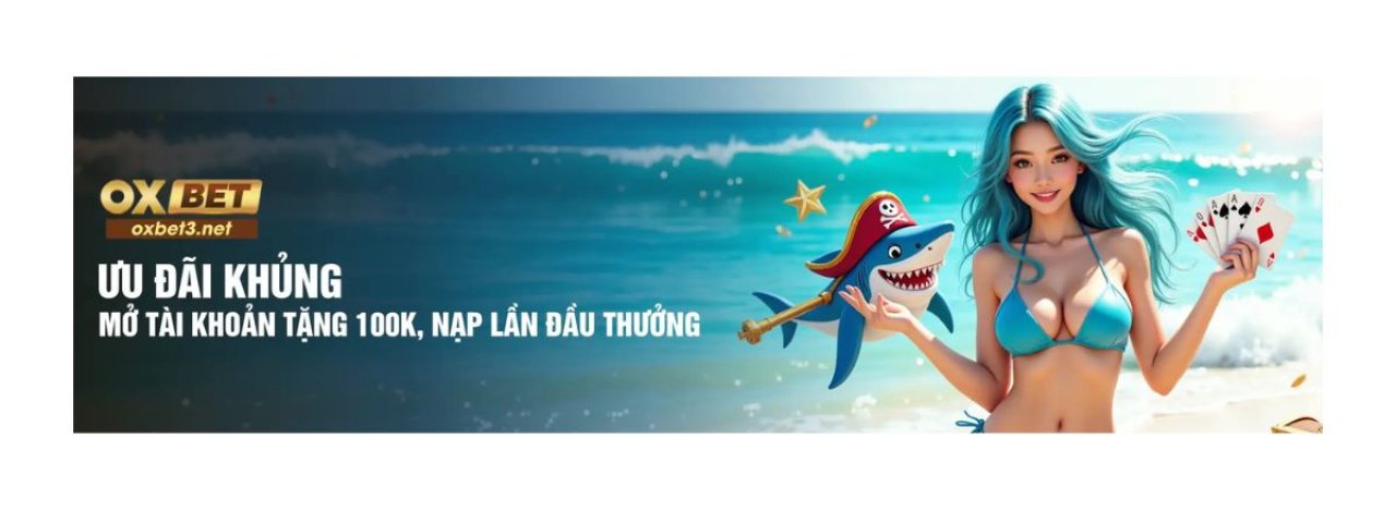 oxbet3net