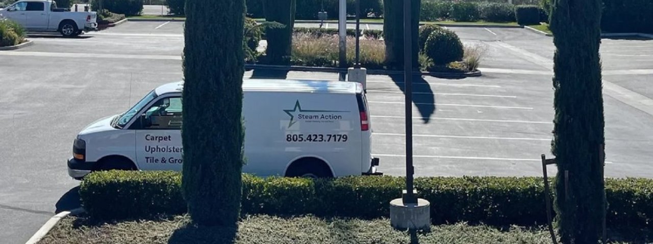 SteamActionCarpetCleaning