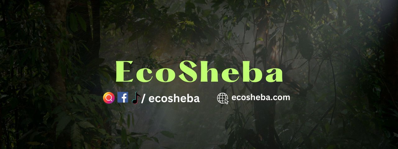 ecosheba 23461