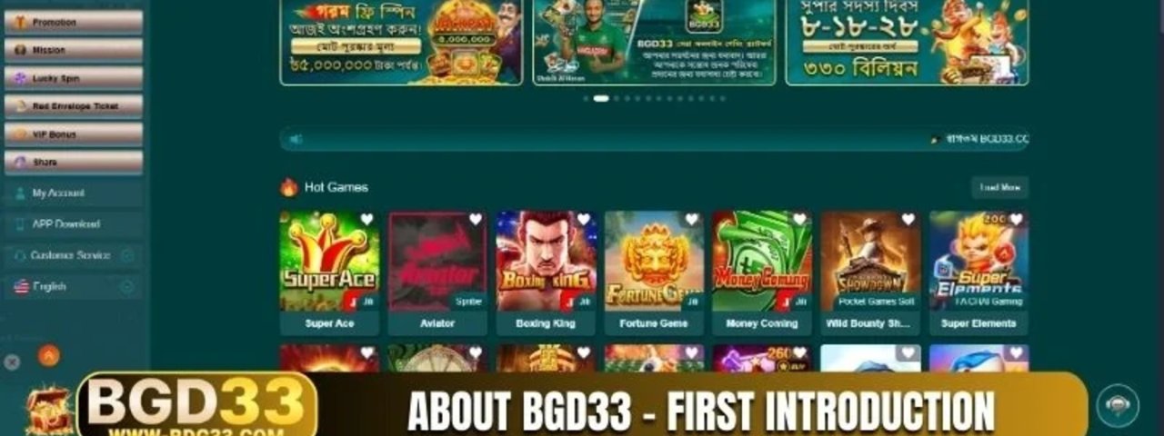 wwwbgd33net