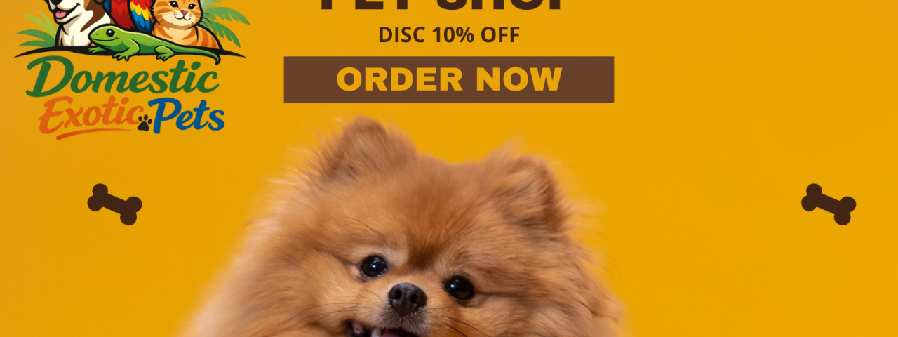 DomesticExoticPets