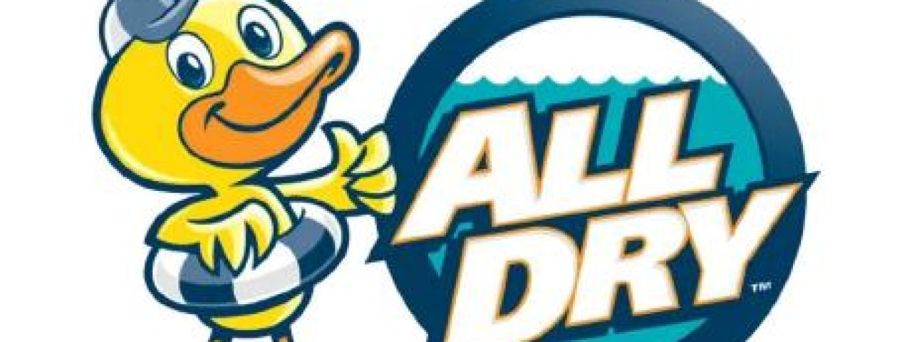 All Dry Services