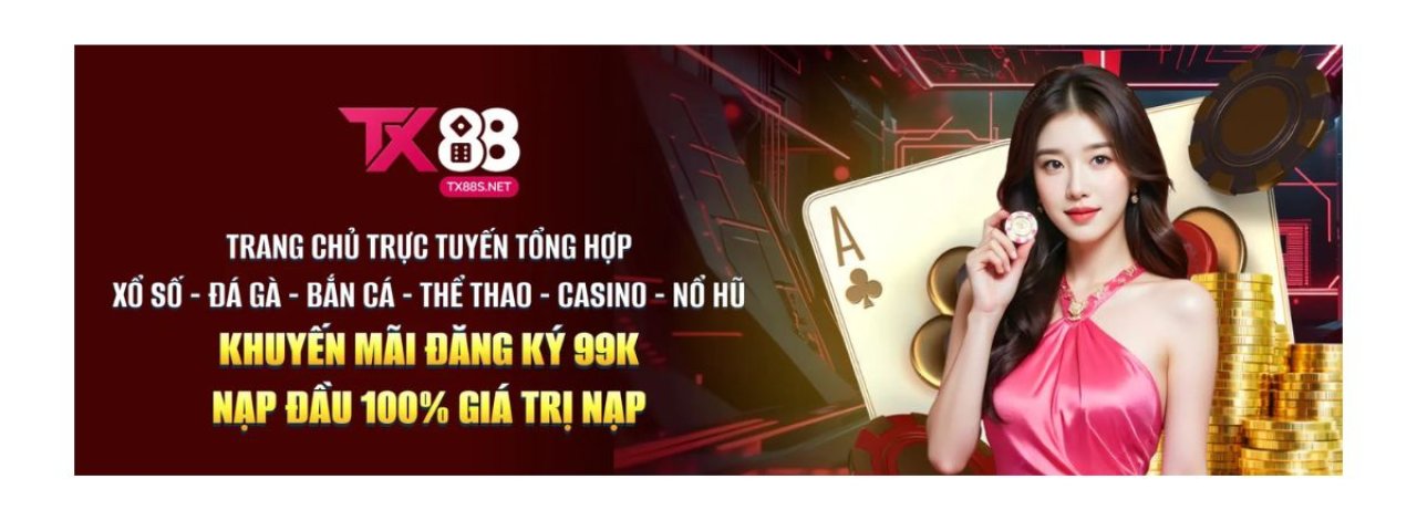 tx88snett