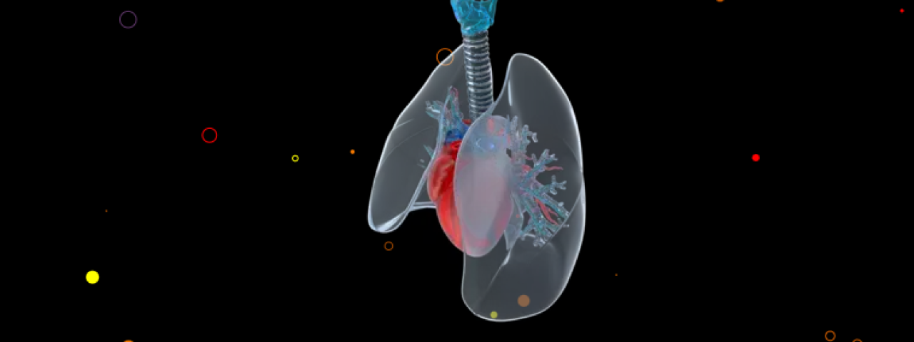 curewith3d-Implant-manufacturer