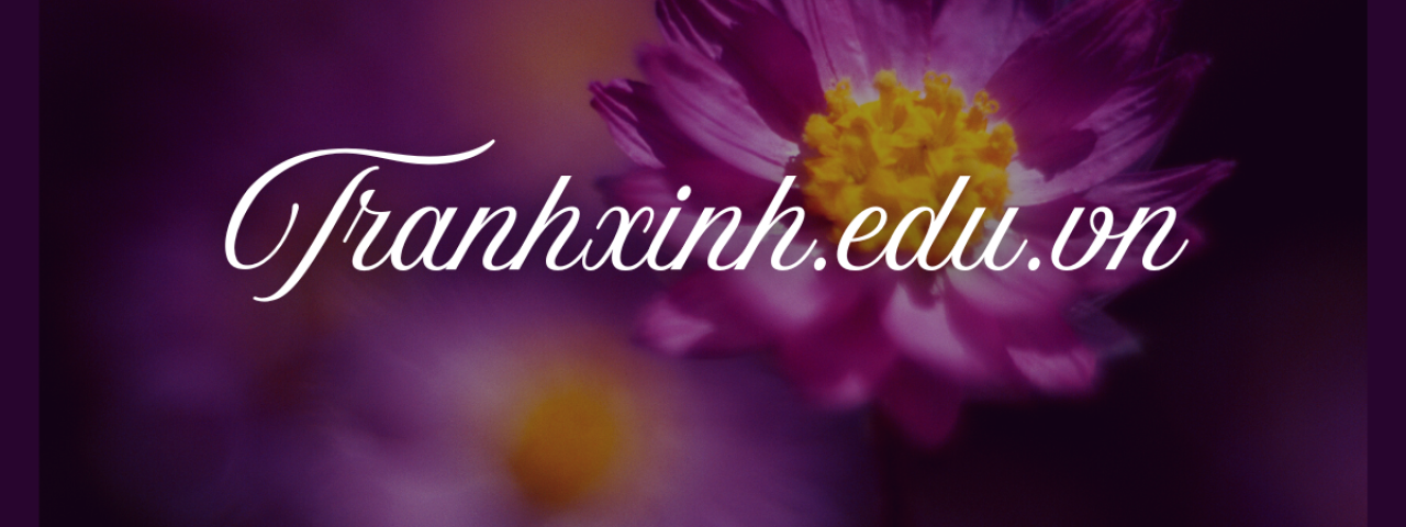 tranhxinheduvn