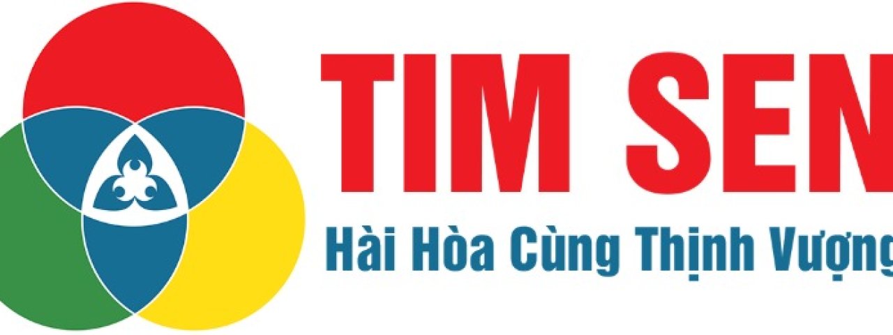 congtytimsen