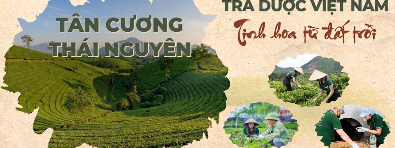 traduocvietnam