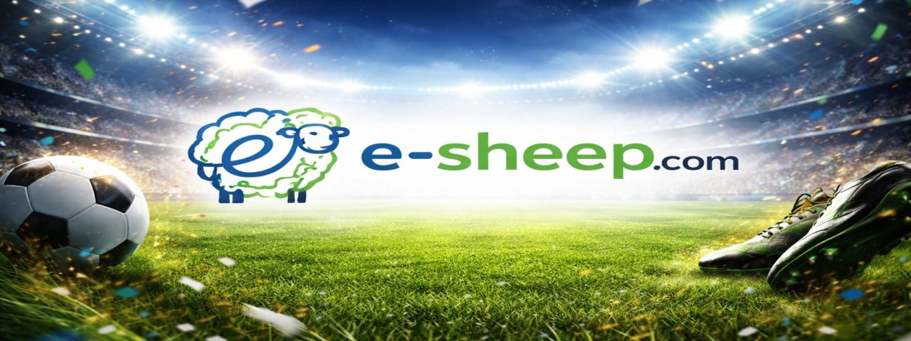 bongdaesheep