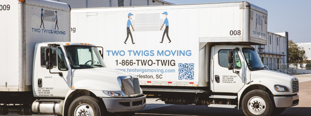 Two Twigs Moving