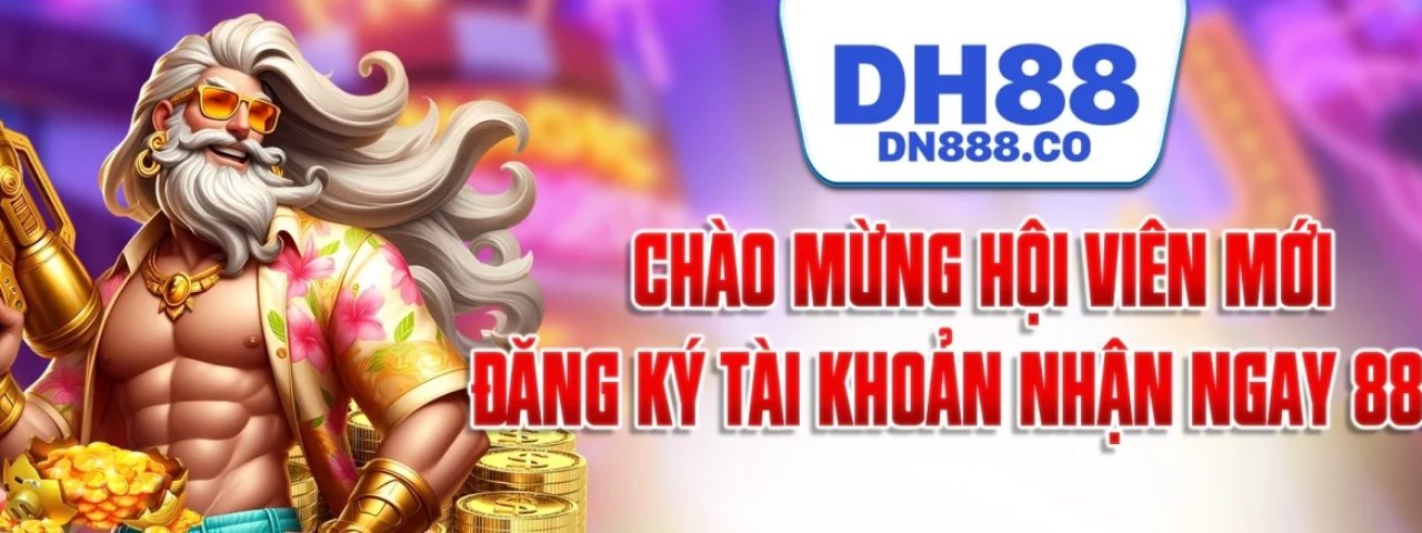 dn888co