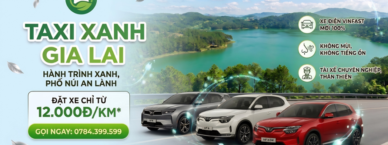 chothuetaxixanhgialai